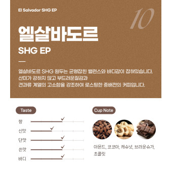 파란수염커피 엘살바도르 SHG
